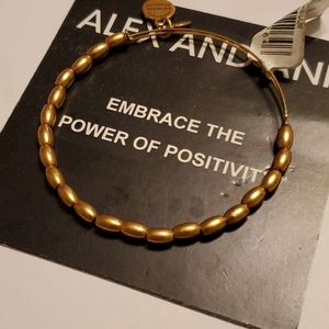 Alex and Ani Jordan Single Goldtone Bracelet
